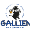 Gallien Logo mit weissem Rahmen