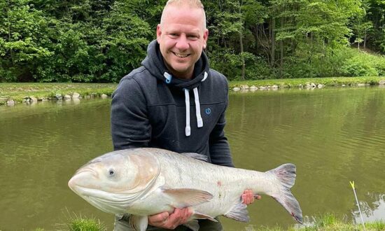 Angeln im Waldviertel Forellenfischen in Niederösterreich